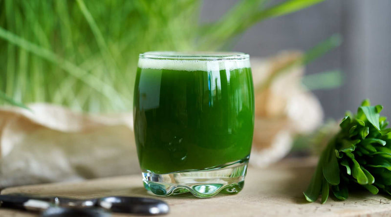 wheatgrass juice benefits